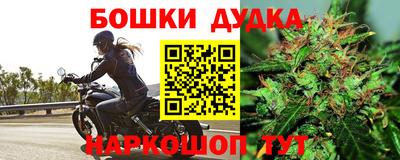 прущие грибы Малоярославец