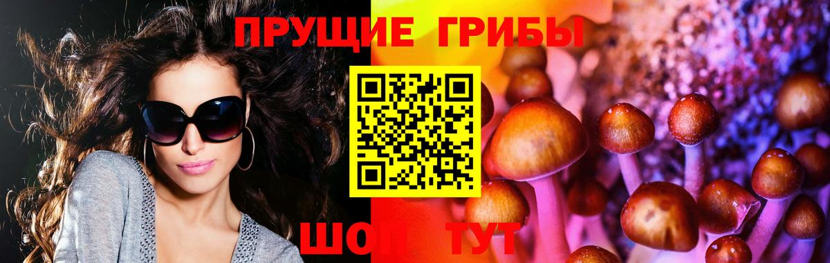 Пыть-Ях  Галлюциногенные грибы GOLDEN TEACHER  Галлюциногенные грибы Psilocybe  Вход с VPN 